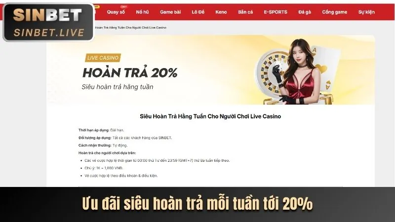 Hoàn trả hàng ngày không giới hạn